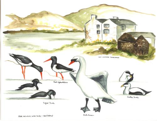 Isle of Seil, Scotland Clachan Bridge house and waterbirds
