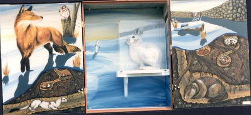 Wildlife of Cape Cod Exhibit Boxes
