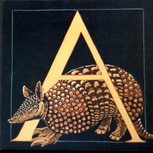 Alphabet: Animals A - Z