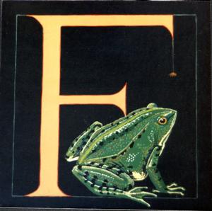 F: Frog