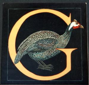 G: Guinea Fowl