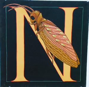 N: Bug