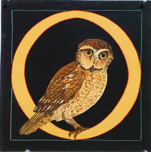 O: Owl