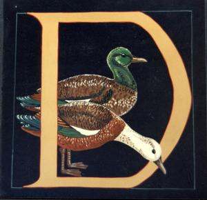 D: Paradise Ducks