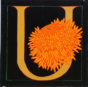 U: Sea Urchin