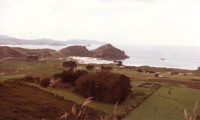 From Medlands Beach toward Kaitoke, 1981