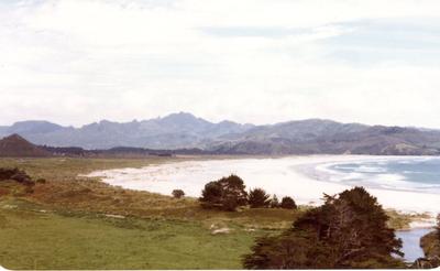 Kaitoke Beach 1981