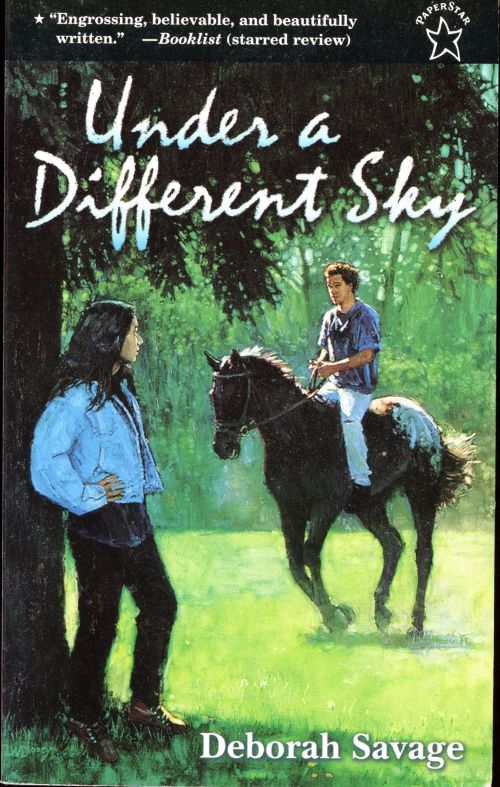 book cover Under A Different Sky